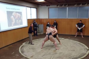 Tokyo : Spectacle de Sumo et expérience gastronomique