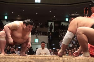 Tokyo: Sumo Tournament: Guided Tour + Ticket & Assigned Seat