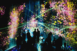 Tokyo: TeamLab Borderless & Roppongi Art Architecture Tour