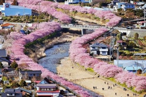 Von Tokio nach Izu: Kawazu Sakura-Tagestour mit Zug & Abholung