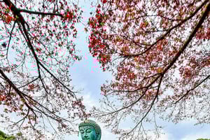 Passeio privado de Tóquio a Yokohama: jardim zoológico, bairro chinês e noodles