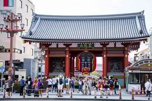 Tokyo tour: Meiji Shrine, the Palace,Asakusa,Odaiba,cruise