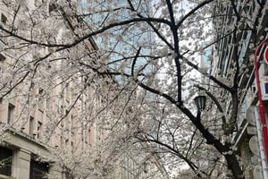 Tokyo Tour with Private Vehicle and English Speaking Guide