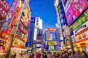 Tokyo: Winter Illuminations Private Tour with a Local