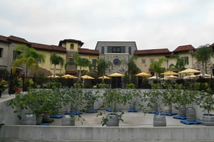 Au départ de Buffalo : Excursion privée personnalisable d'une journée aux chutes du Niagara