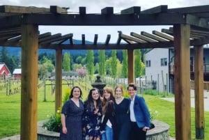 Desde Toronto: Enoturismo en Niágara