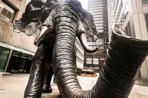 Hidden Toronto City Walking Tour