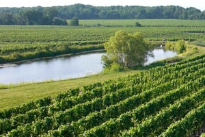 Niagaran putoukset: opastettu viinitilakierros, maistajaiset ja nouto