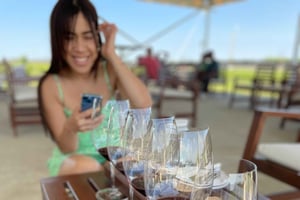 Yksityinen auringonlaskun viinikierros illallisella - Niagara On The Lake