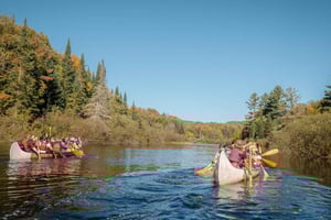 Toronto: Algonquin Park ja Ragged Falls -päiväretki