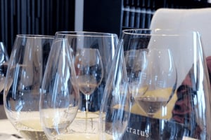 Toronto: Exclusive Private Wine Tour Experience