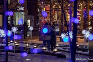 Toronto: Lights Bus Tour