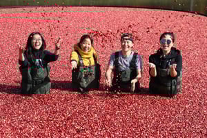 Toronto: Muskoka Cranberry Farm and Hardy Lake Hike