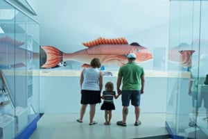 Toronto: Royal Ontario Museum Special Exhibits Voucher