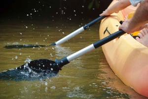Caroni Bird Sanctuary: Wetlands Kayaking