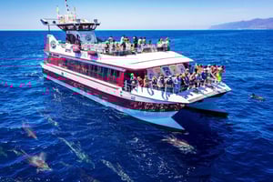 Costa Adeje: Whale & Dolphin Submarine Vision Mini Cruise