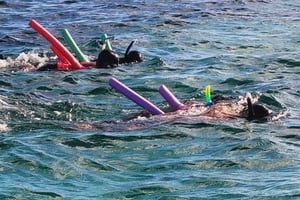 Glass Bottom Nylon Pool Tour