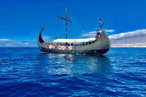 Los Cristianos: Viking Cruise Whales & Dolphins Watching