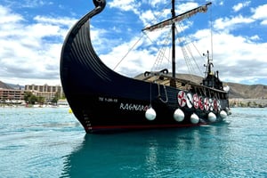 Los Cristianos: Whale Watching Cruise w/Swim Stop & Drinks