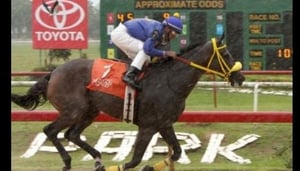 Santa Rosa Horse Racing