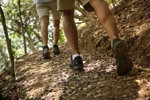 Тобаго: тур по тропическому лесу