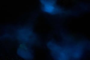 Aventura nocturna de Bioluminiscencia ULTIMA con Brandon