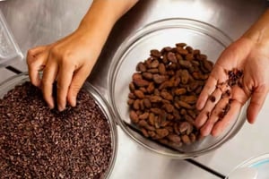 Degustación de chocolate en Vancouver