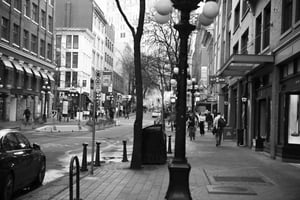 From Vancouver: Professional Photoshoot & Tour