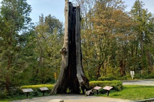 スタンレーパークの車で行くツアー：少人数でお得に、より多くの見どころをお楽しみください