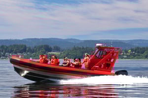 バンクーバー、BC州ホエールウォッチングツアー ガイド付き小型ゾディアック