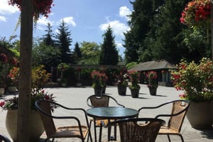 Vancouver: Butchart Gardens og byrundvisning i Victoria