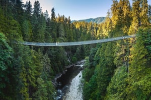 Vancouver: Stadtführung mit Capilano-Brücke und Stanley Park