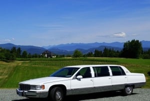 Full-Day City Tour and Wine Tasting