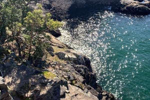 バンクーバー：ライトハウスパークハイキング