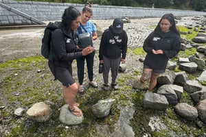 Vancouver: Stanley Park Salish Sea & Me