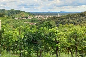 Excursión de 1 día a las colinas del Prosecco desde Venecia y Treviso: 2 bodegas