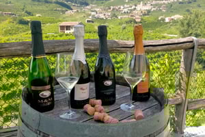 Prosecco-viininmaistelukierros. Puoli päivää. Venetsiasta