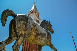 Tarasy Bazyliki św. Marka, Procuratie, wycieczka na dzwonnicę