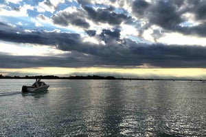 Venecia: tour en barco entre susurros de agua y luz, una realidad por descubrir.
