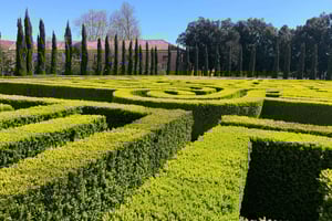 Venise : L'expérience du labyrinthe de Borges sur l'île de San Giorgio