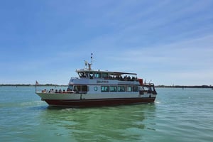 Venecia: Tour en barco panorámico de Murano y Burano con soplado de vidrio