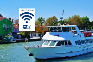 Murano, Burano, Torcello: Tur med guide og glassfabrikk