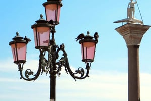 Venice: Private City Tour