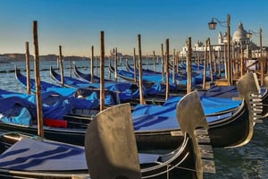 Venedig: Delt gondoltur