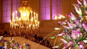 Ball Season in Vienna