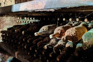 Vienne : Visite d'une jounée à Vienne : dégustation de vins de bois