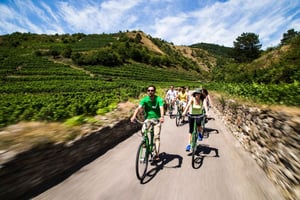 Pastoreio de uvas: Passeio de bicicleta pelas adegas do Vale de Wachau