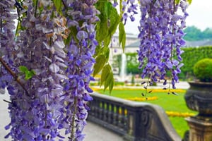 Od opactwa Melk do Salzburga: barokowe perełki