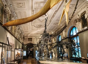 Natural History Museum