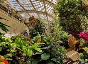 Schmetterlinghaus (Butterfly House)